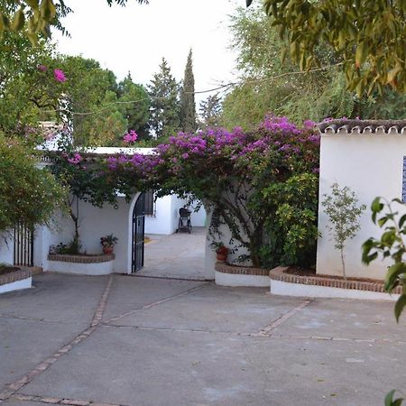 Casa Rural Sevilla, Olivares Olivares  Buitenkant foto