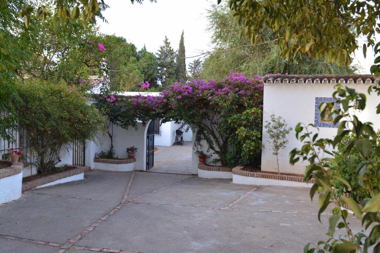 Casa Rural Sevilla, Olivares Olivares  Buitenkant foto