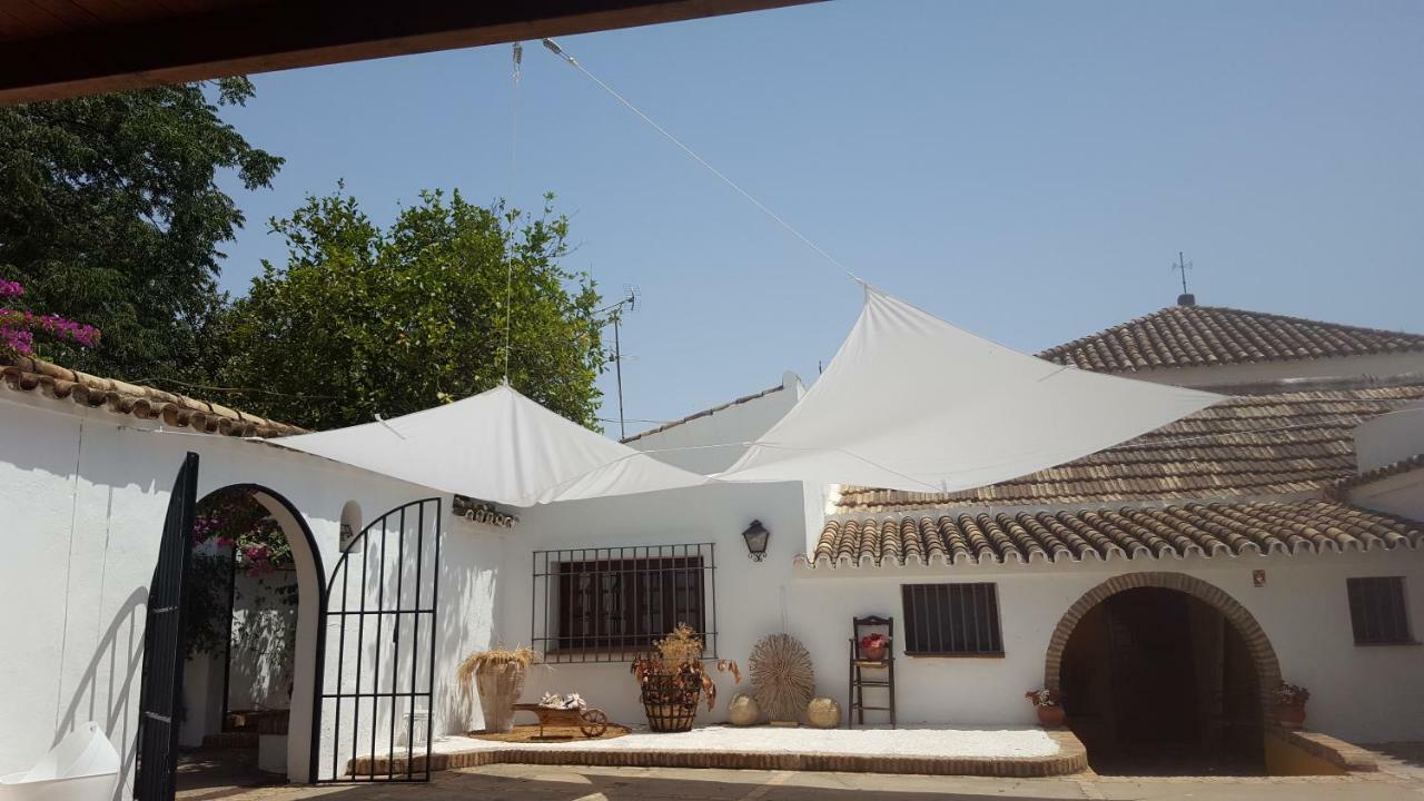 Casa Rural Sevilla, Olivares Olivares  Buitenkant foto