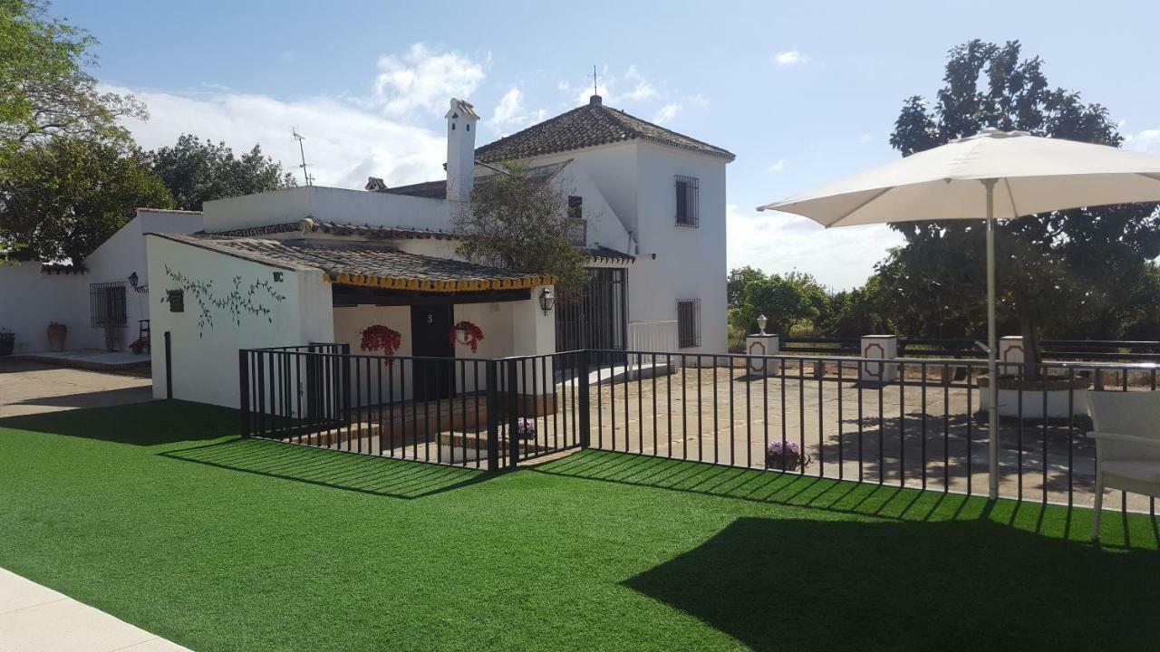 Casa Rural Sevilla, Olivares Olivares  Buitenkant foto